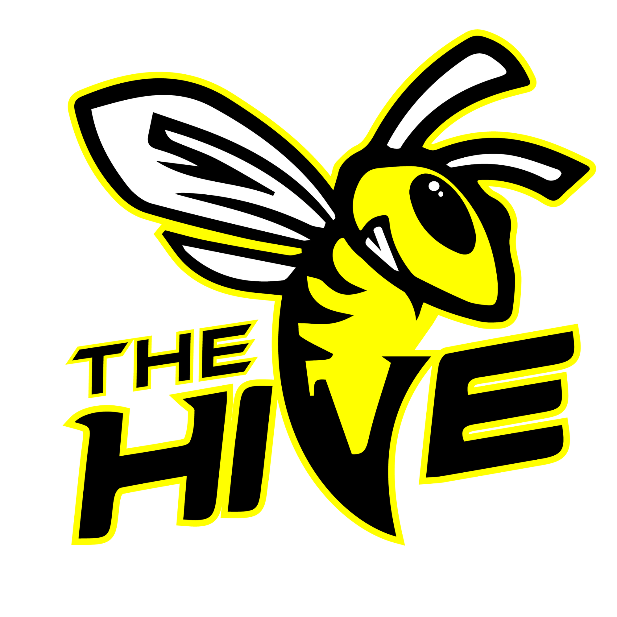 BOGO 90 Minute Jump - The Hive, Exp. 12/31/26