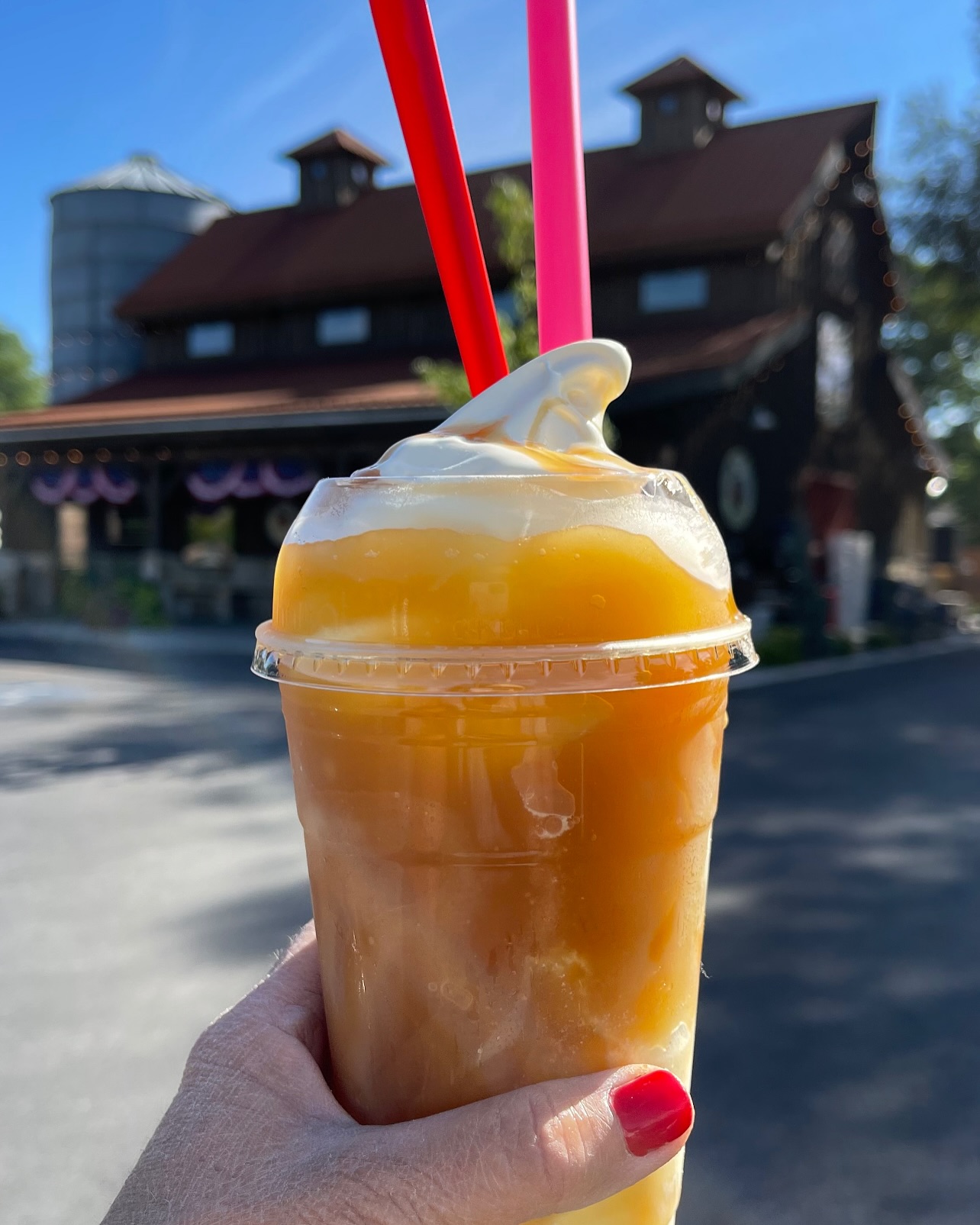 Mini Apple Cider Slushy - The Barn, Exp. 9/30/26